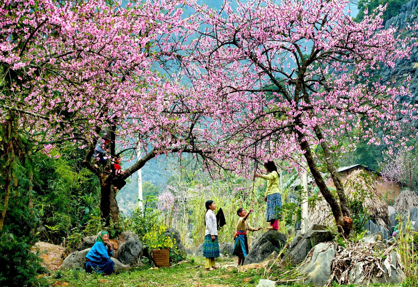 hmong-spring-sapa