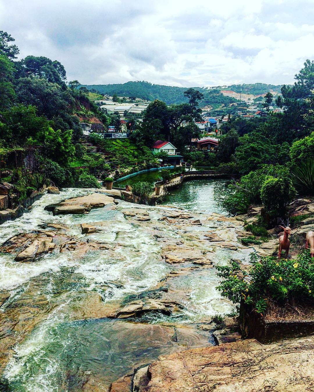 how many days in dalat