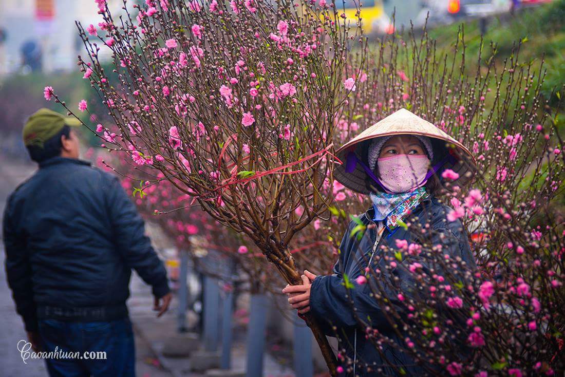 celebrating tet in hanoi