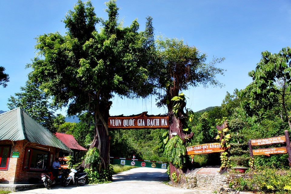 Bach Ma national park hue vietnam