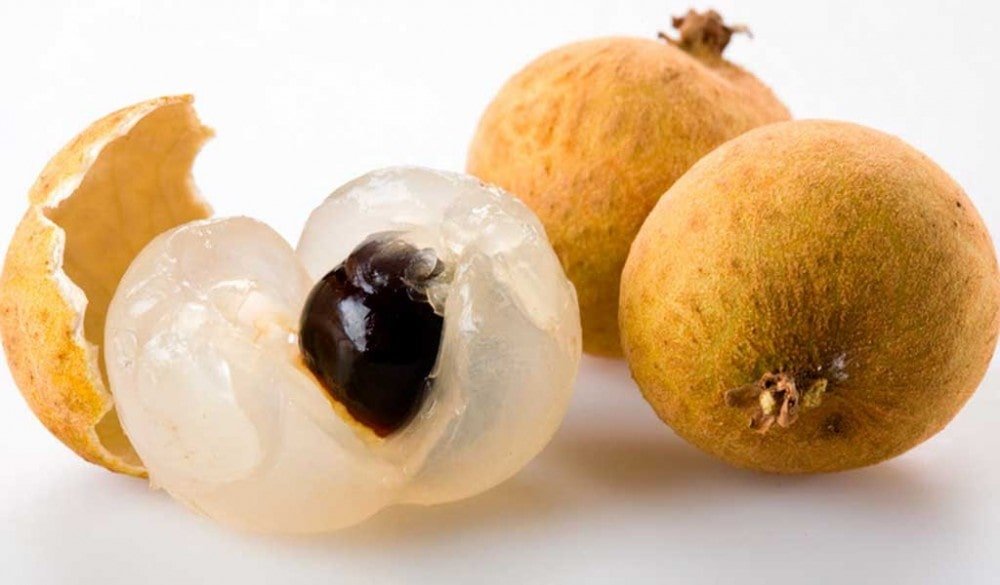 longan vietnam