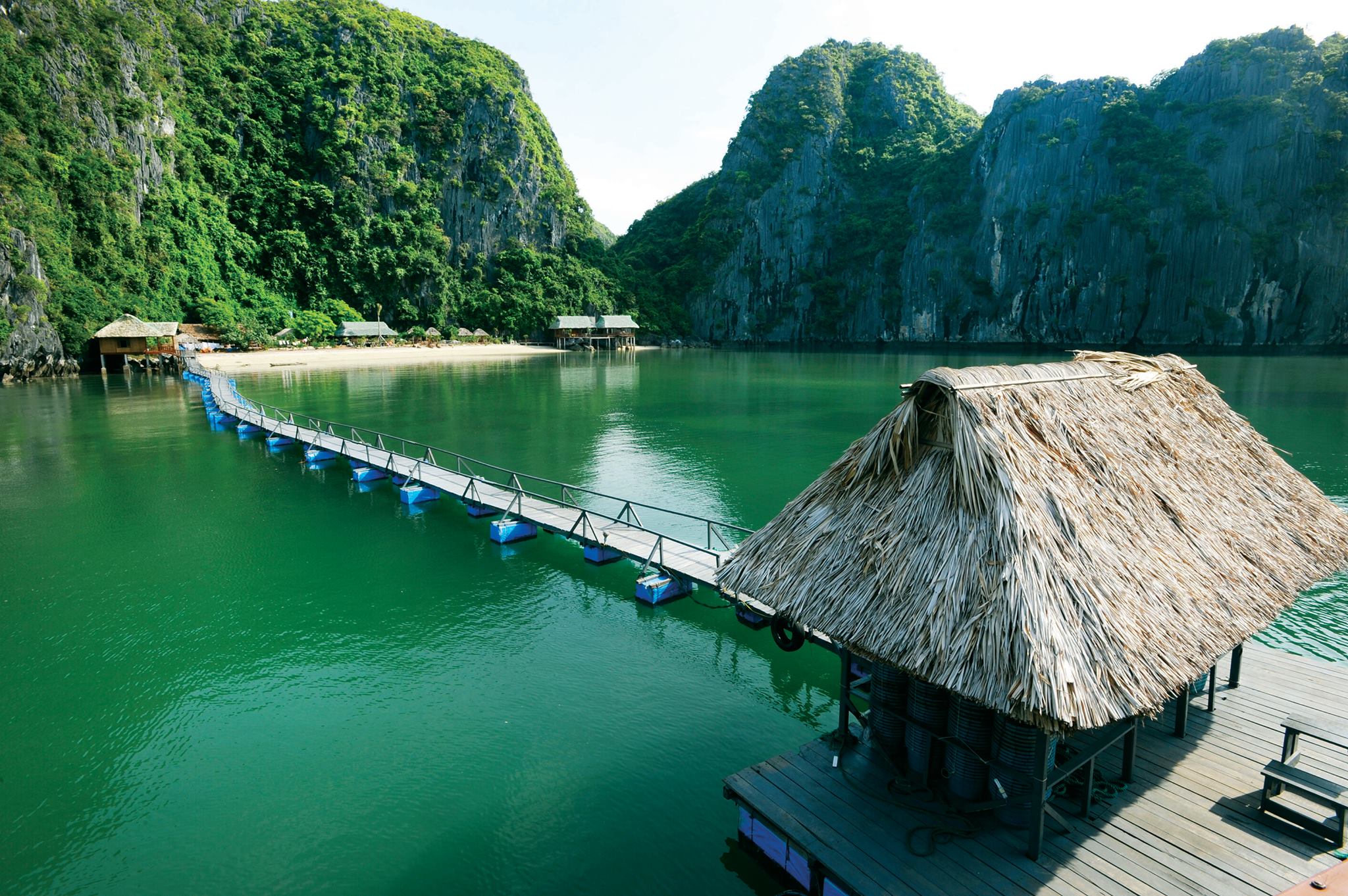 cat ba island hotel