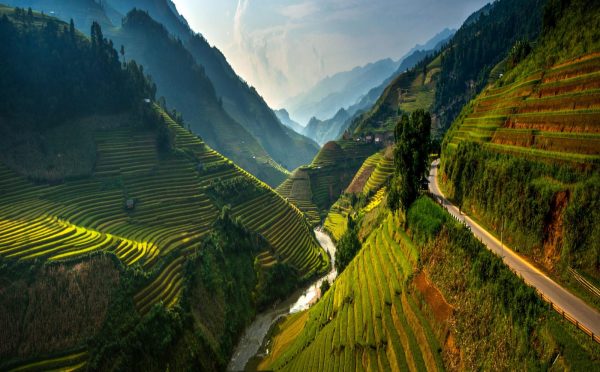 Ha Giang buckwheat flower season