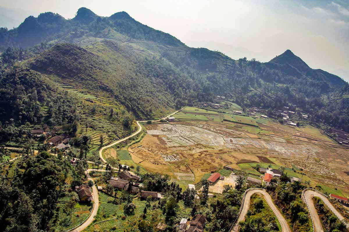 buckwheat flower season in ha giang