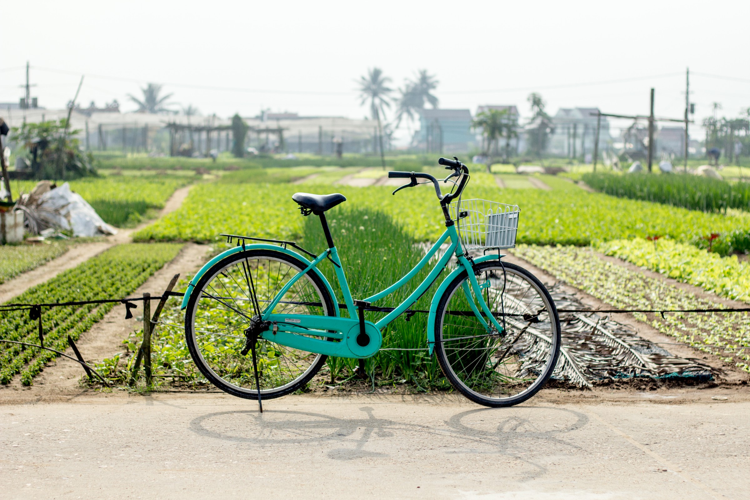 Three Perfect Days in Hoi An