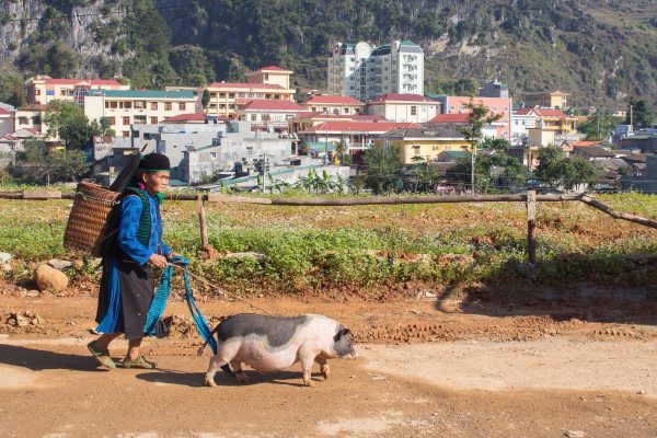 where to eat in ha giang