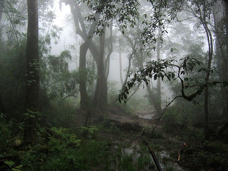 mount fansipan