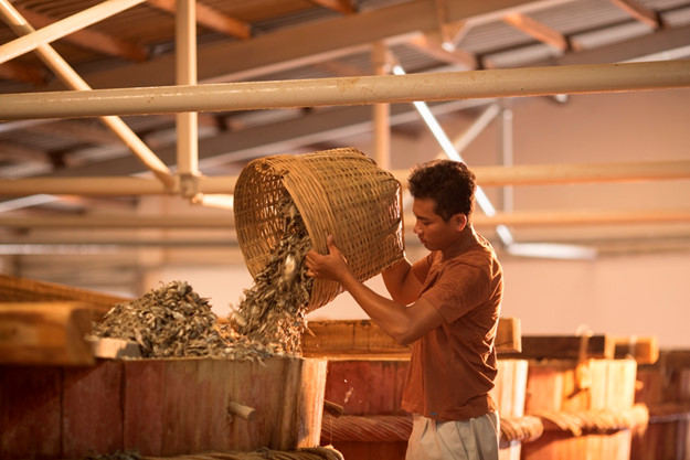 fish-sauce-factory-phu-quoc