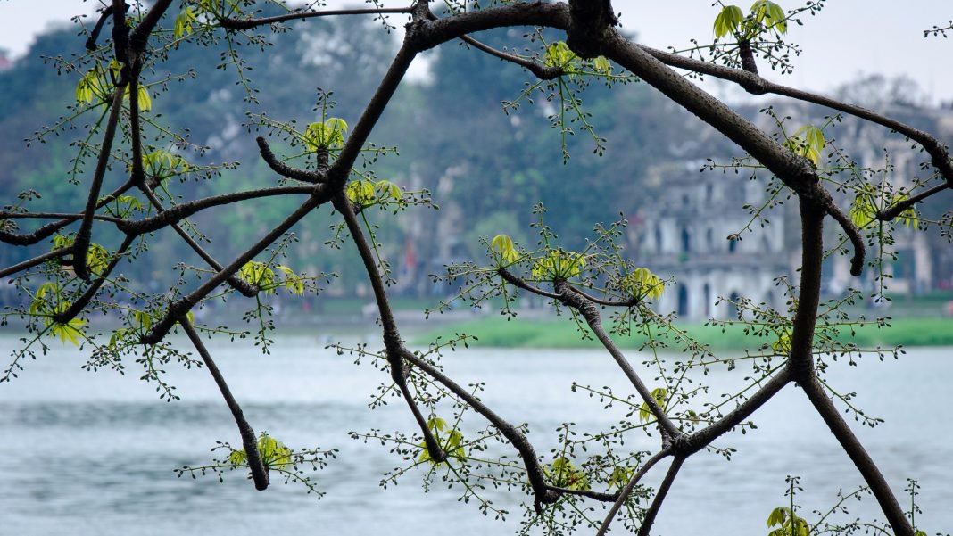 where to stay in hanoi old quarter