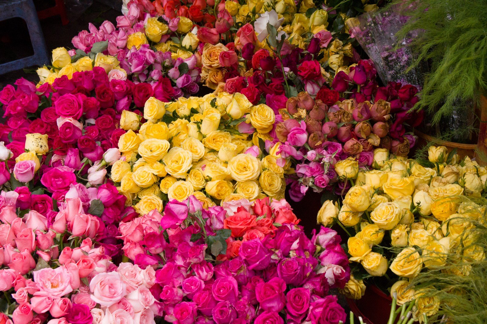 buy flowers in saigon ho chi minh city