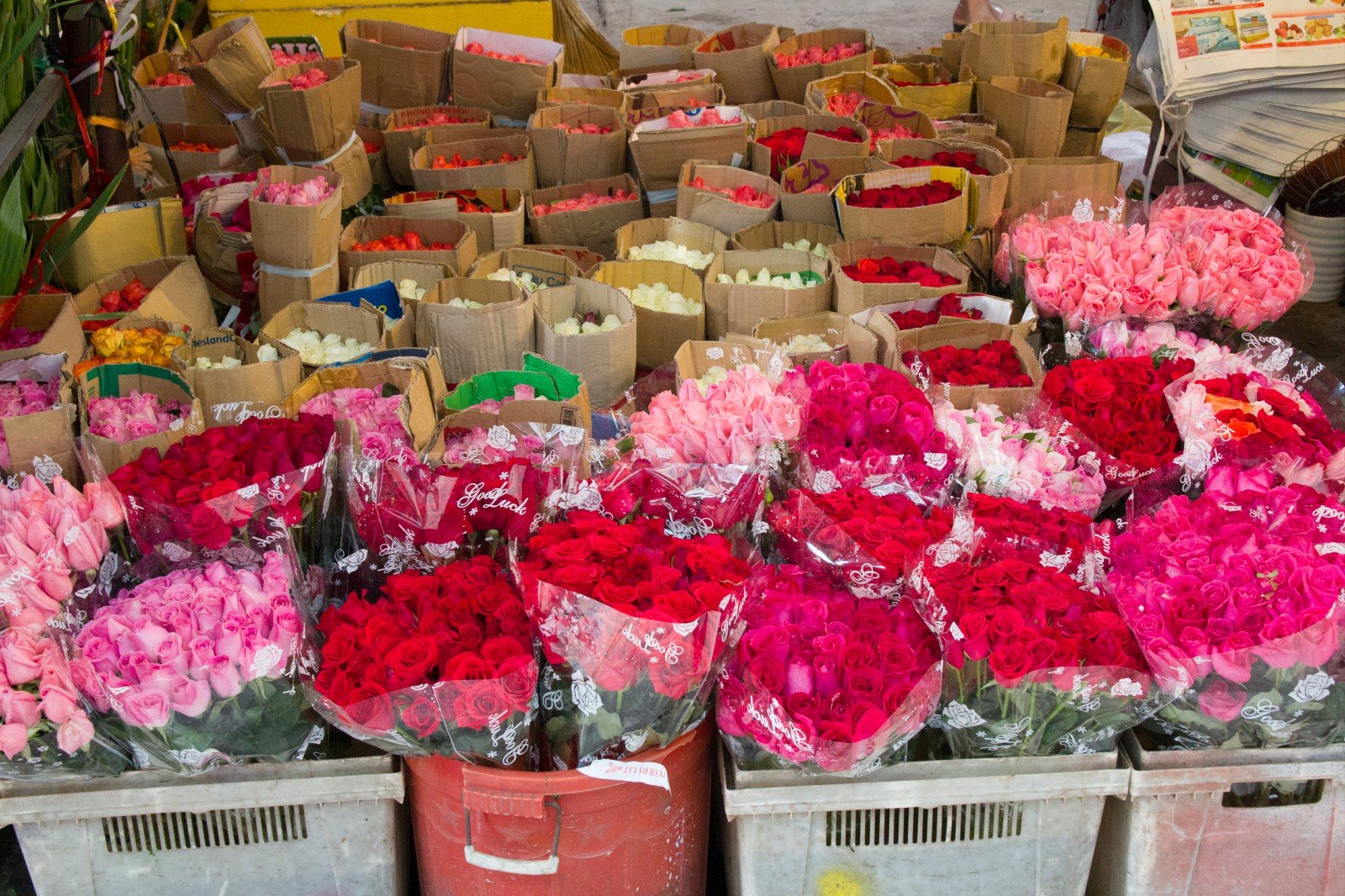 how to get to ho thi ky flower market saigon