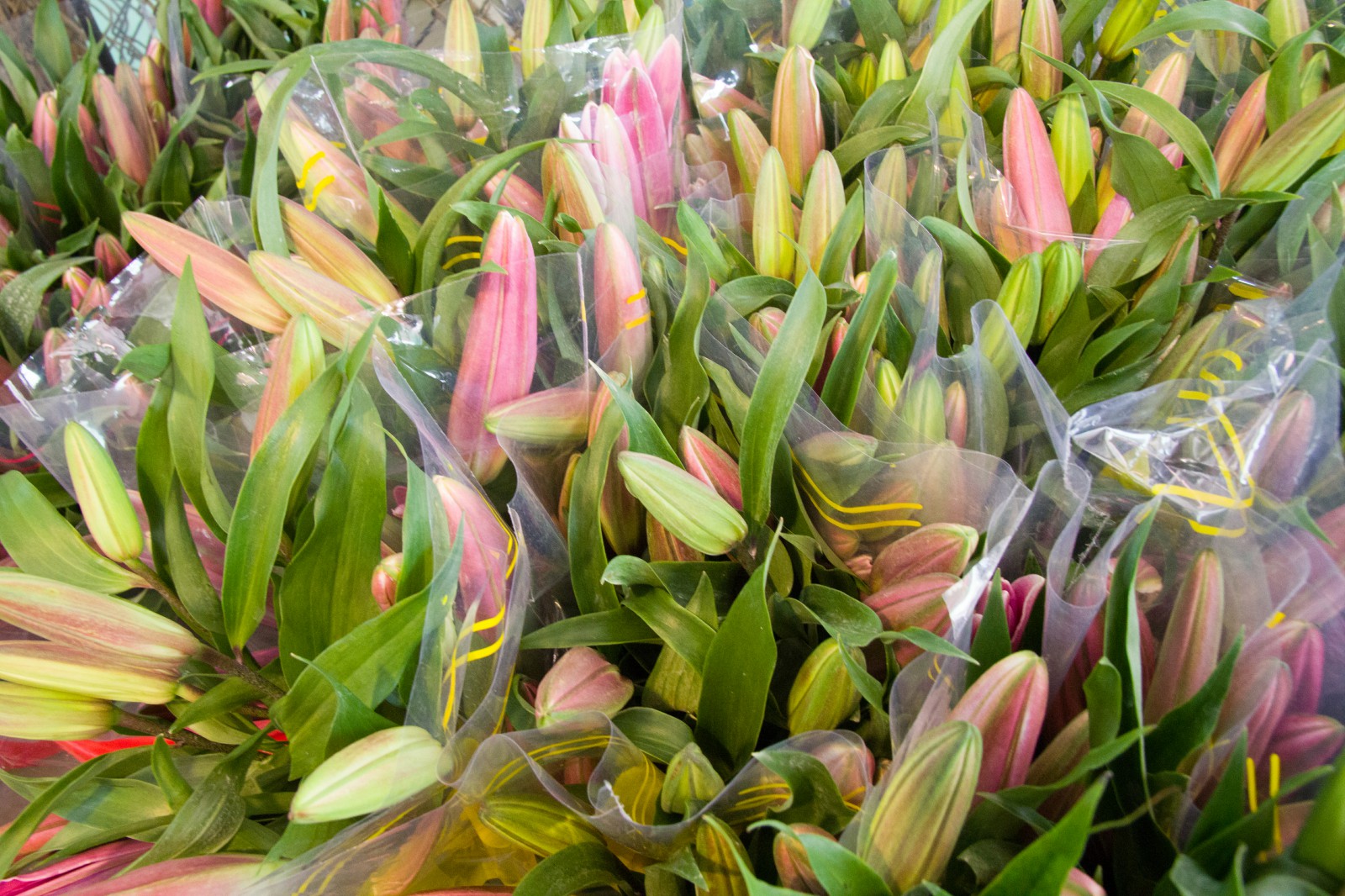 where is ho thi ky flower market saigon