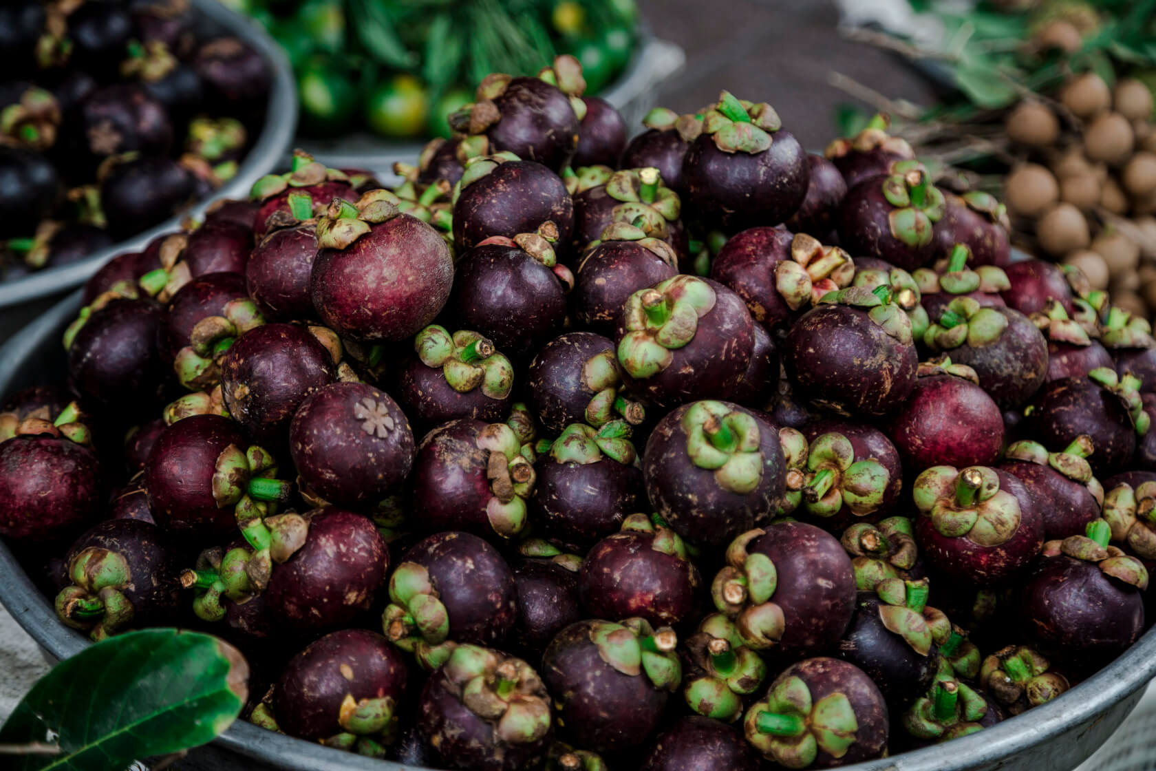 mangosteen vietnam