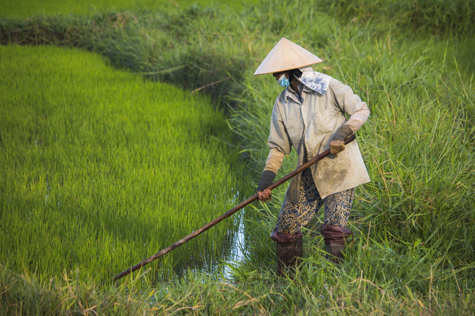 non la vietnamese conical hat uses