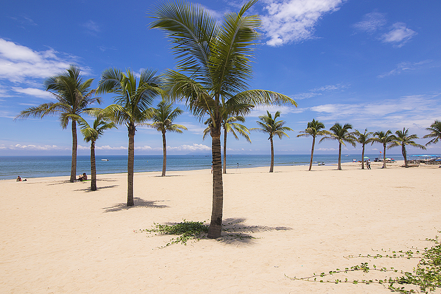 da nang beach