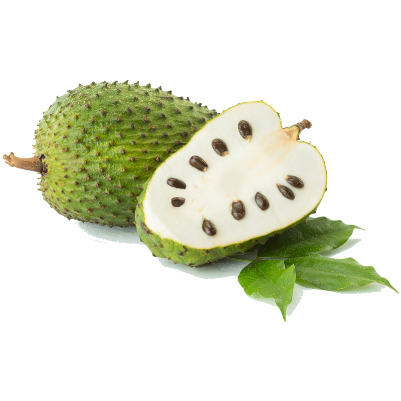 soursop-fruit-vietnam