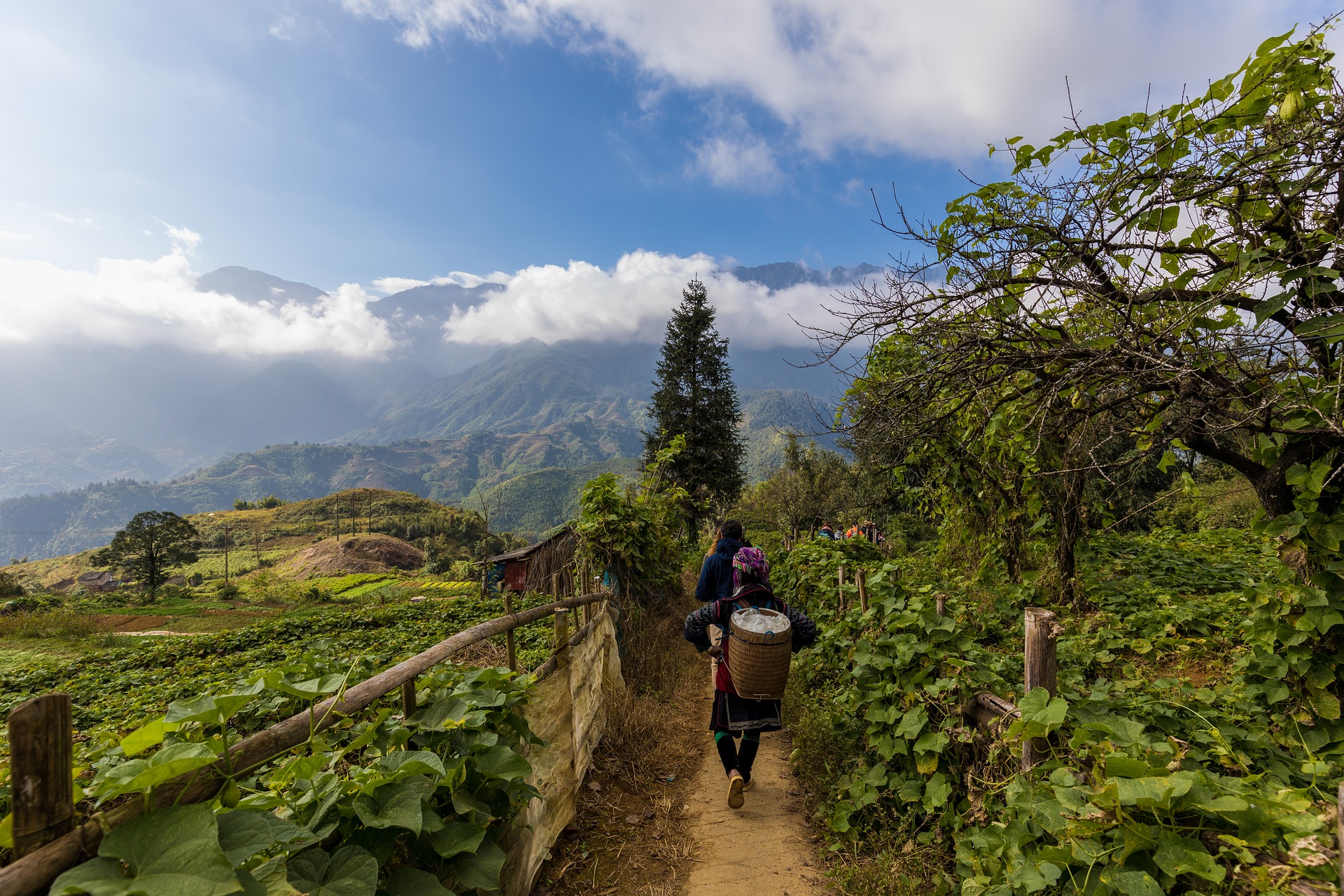 7 days in sapa