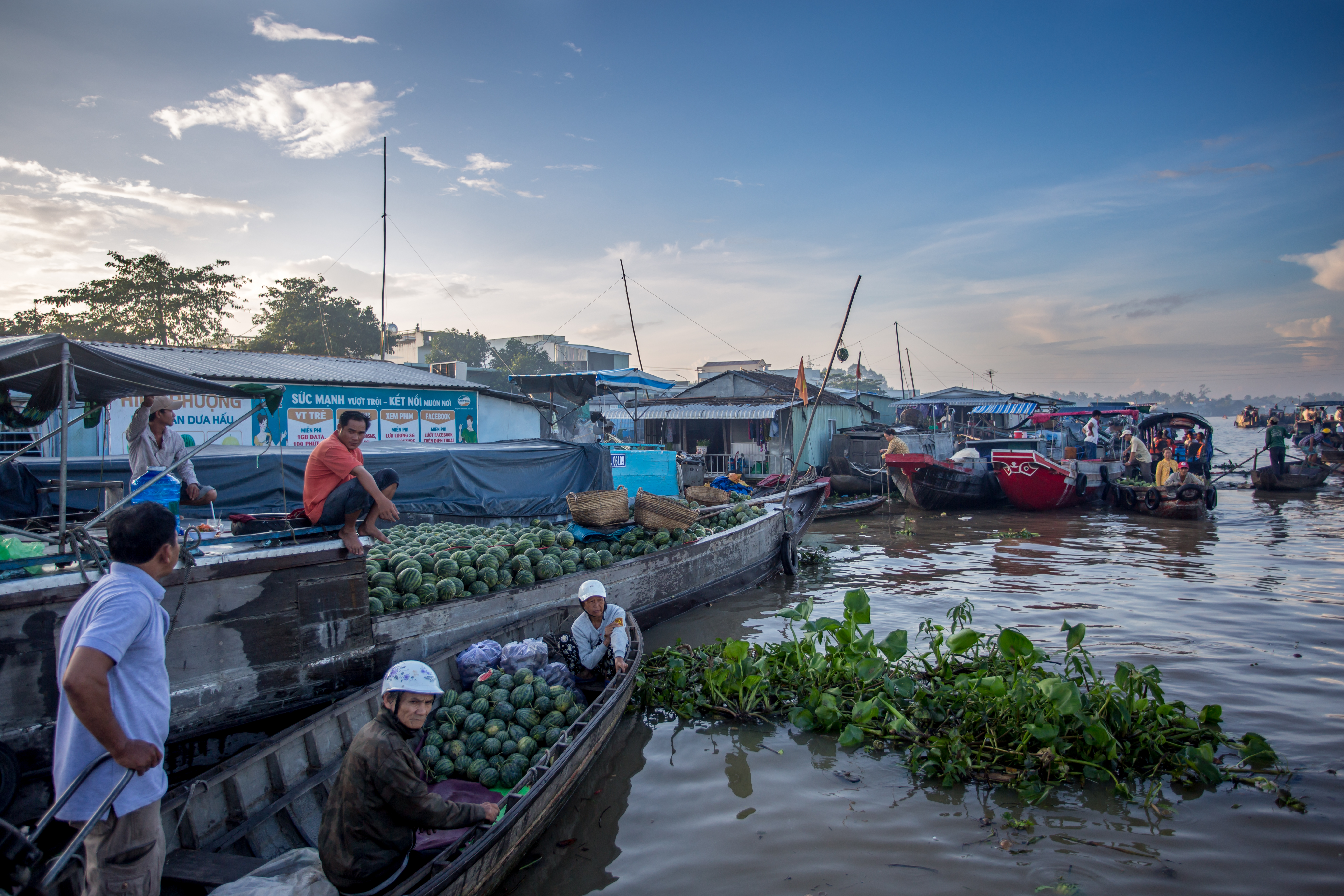 mekong delta