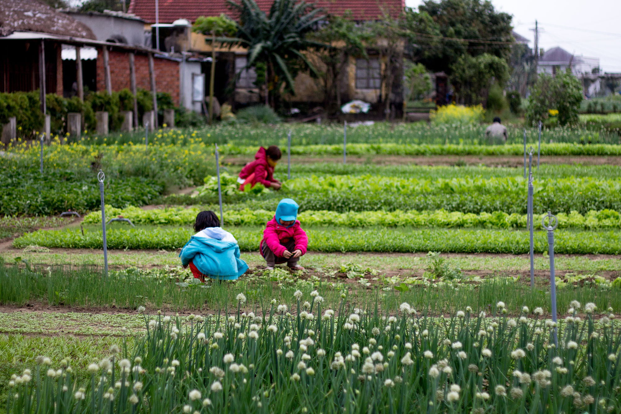 all you need to know hoi an