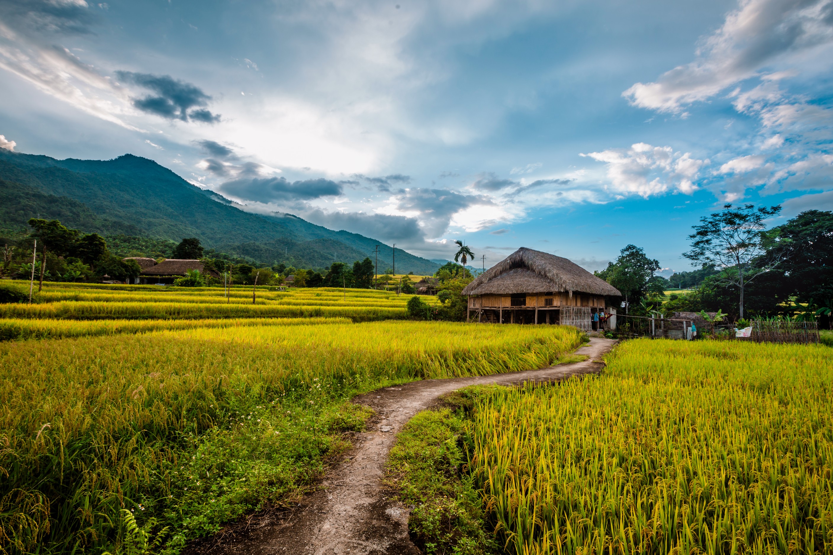 hanoi to sapa