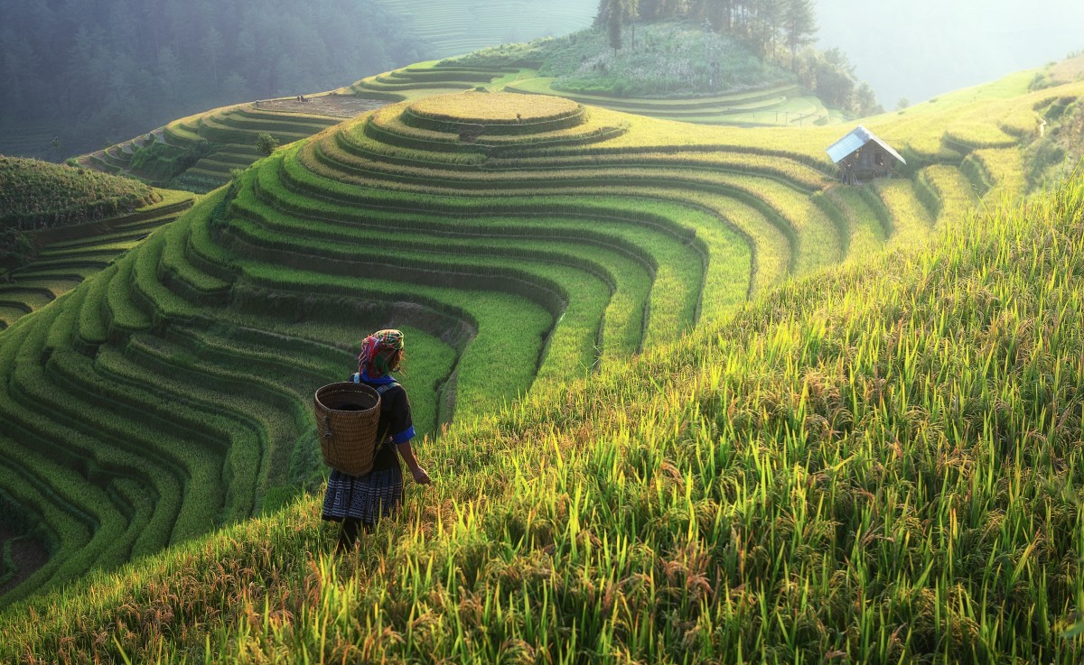 Sapa Trekking Guide