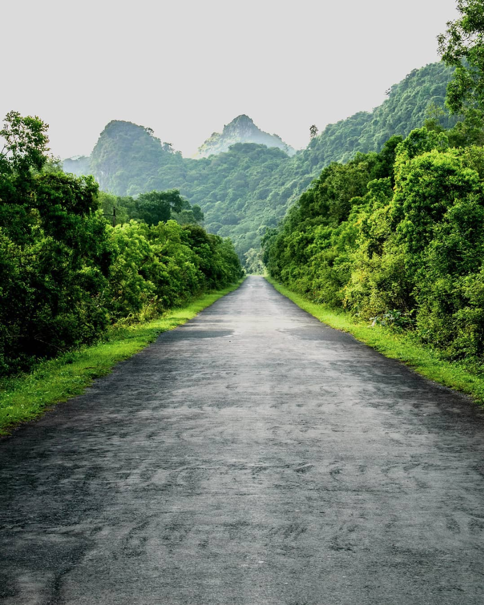 complete guide to cat ba national park