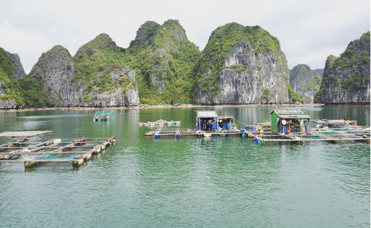 trekking in cat ba island fishing village