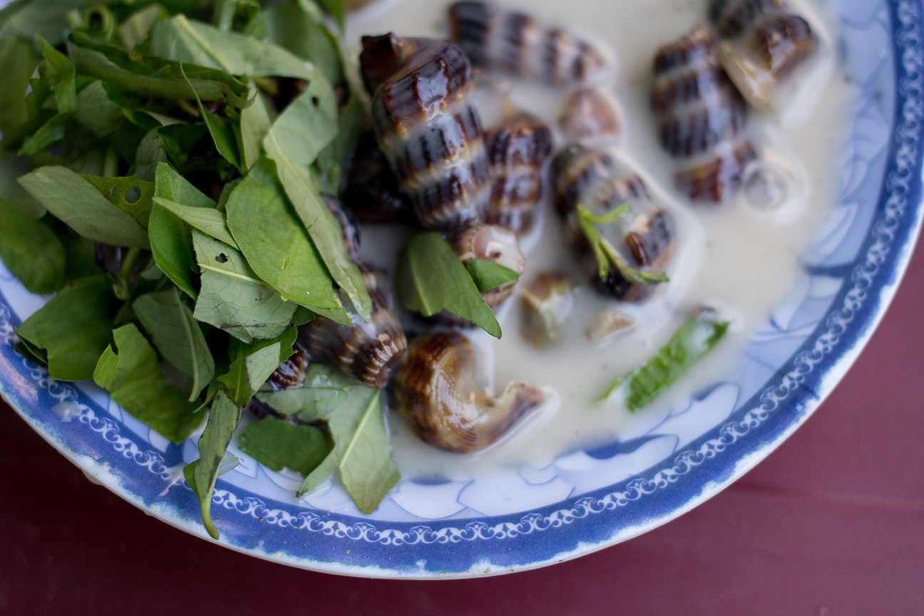 eating sea snails in saigon