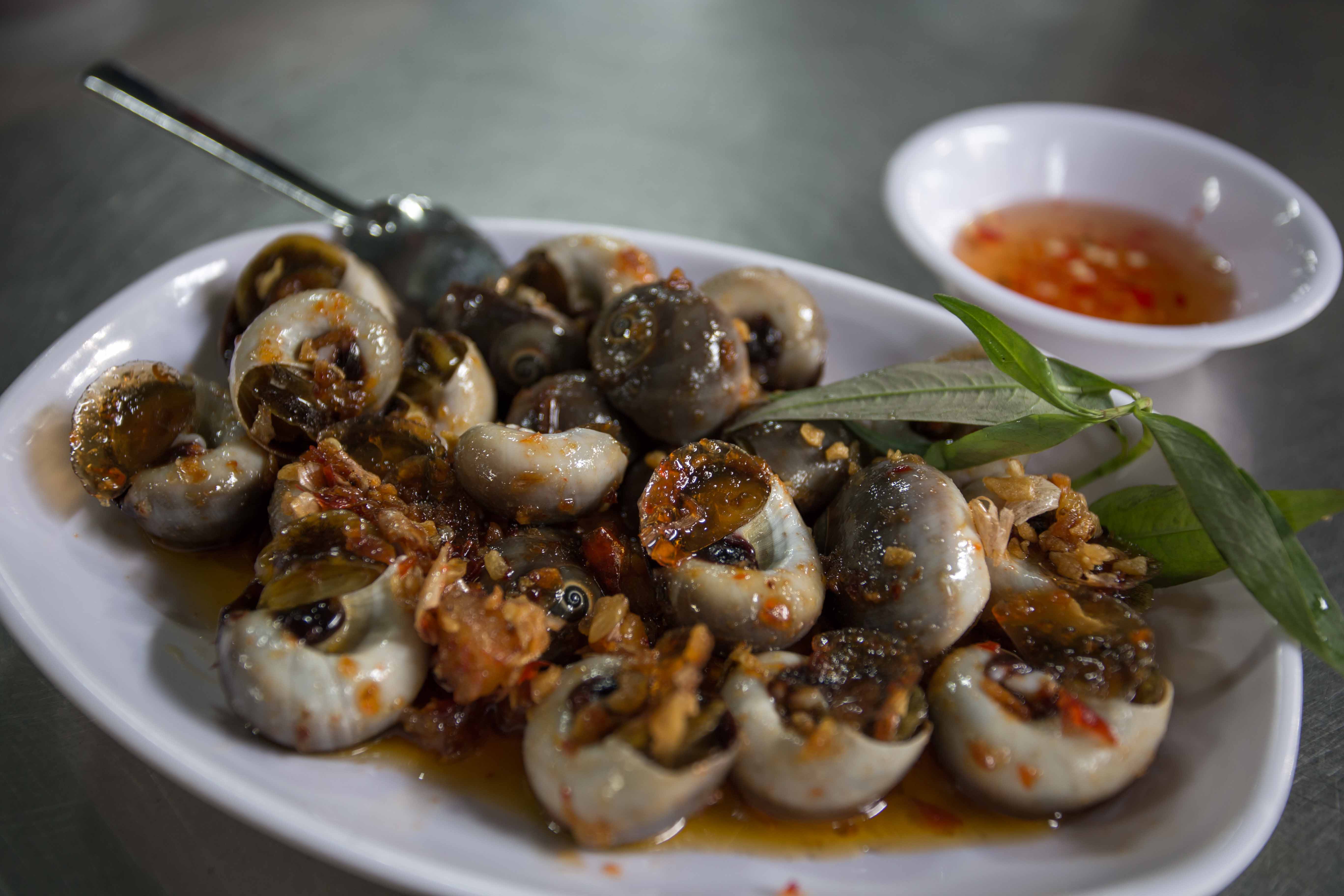 sea snails saigon