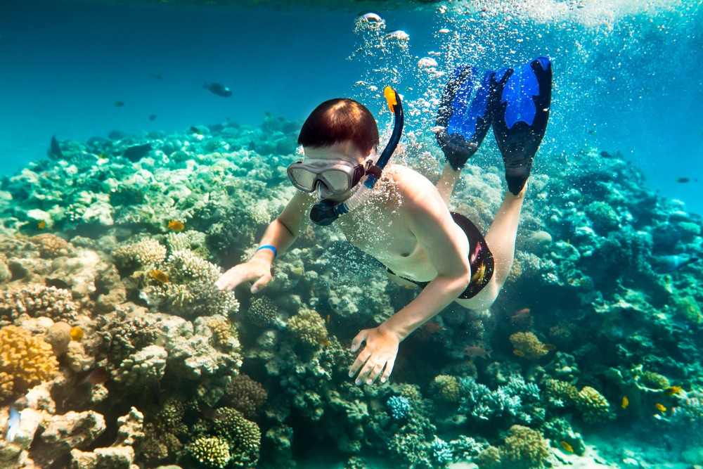 snorkeling-cham-island