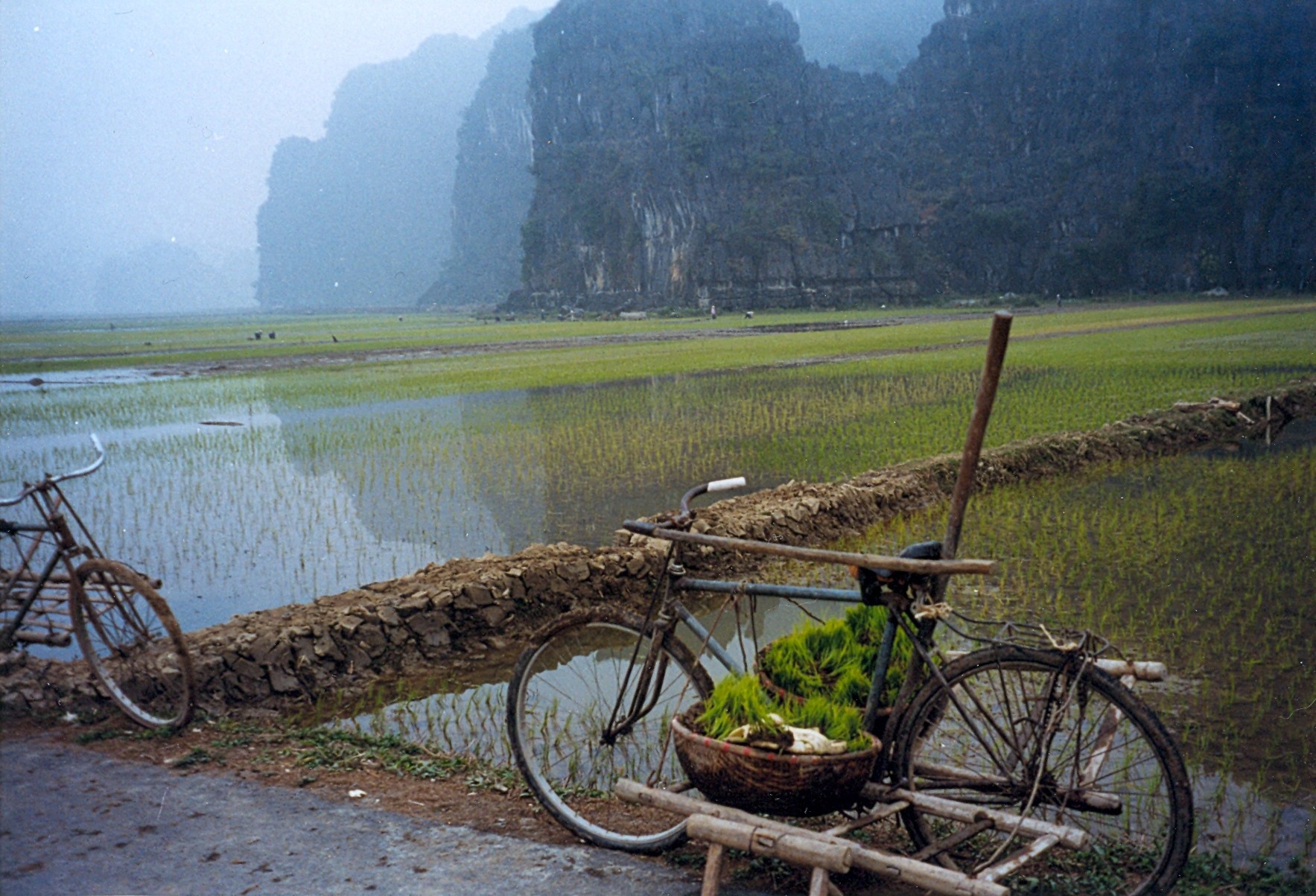 how to get to ninh binh from hanoi