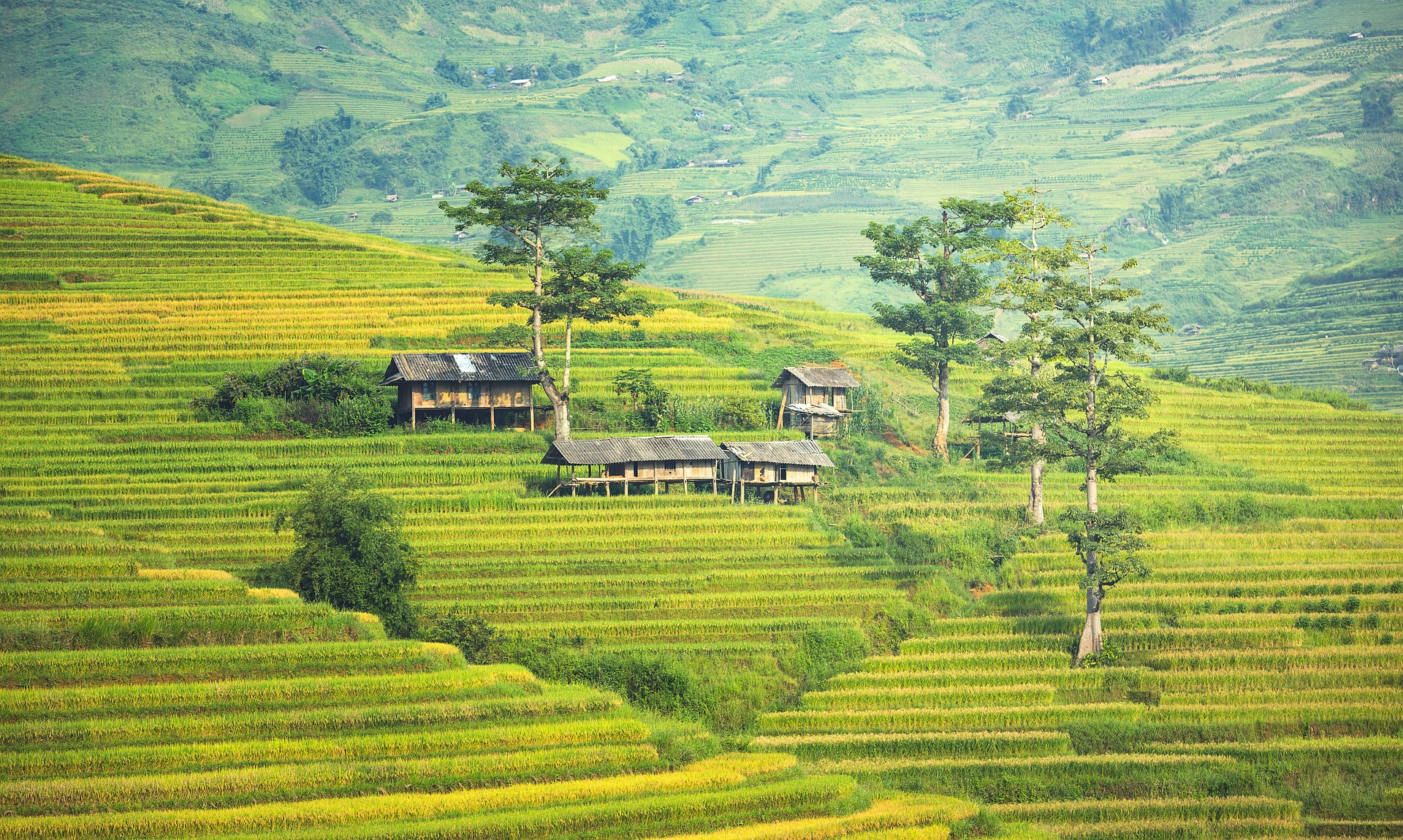 best time to visit sapa