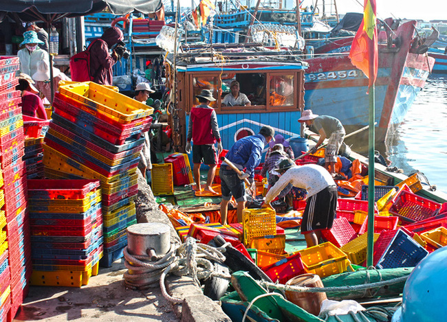 da nang seafood