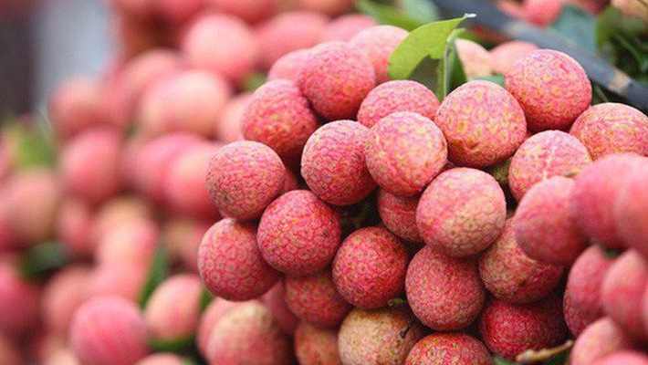 lychee vietnamese fruit