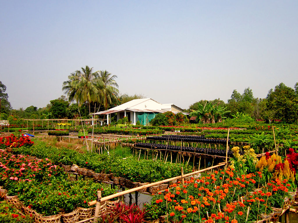 mekong delta dong thap province