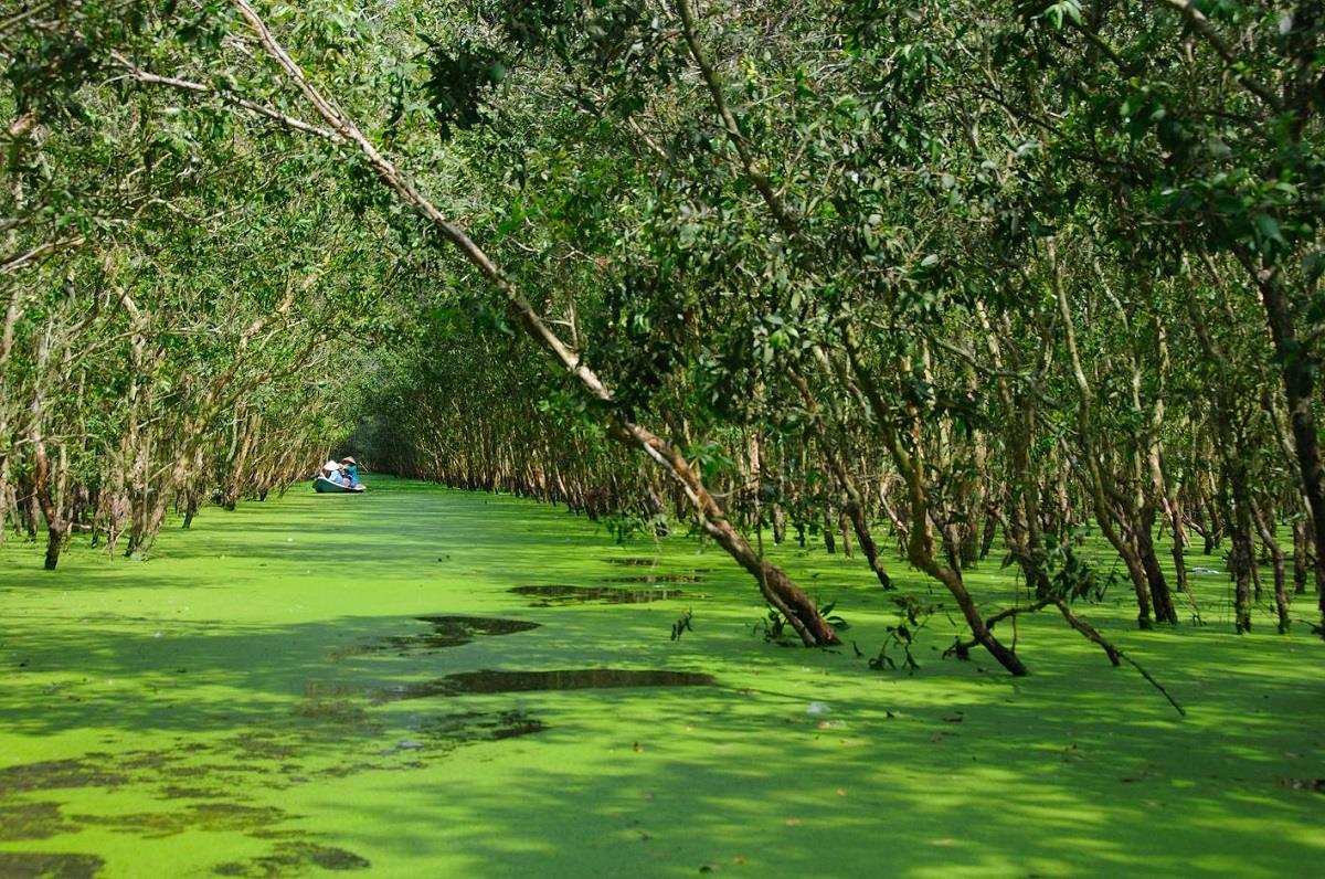 ca mau vietnam