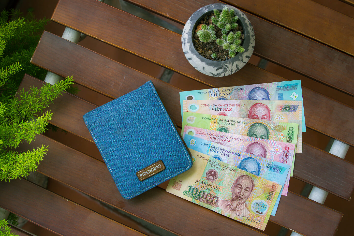 vietnamese polymer money