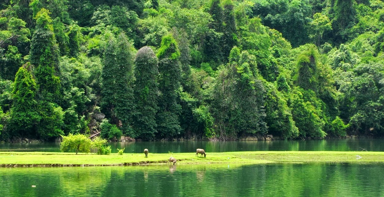 what to do north vietnam cao bang ha giang ba be lake